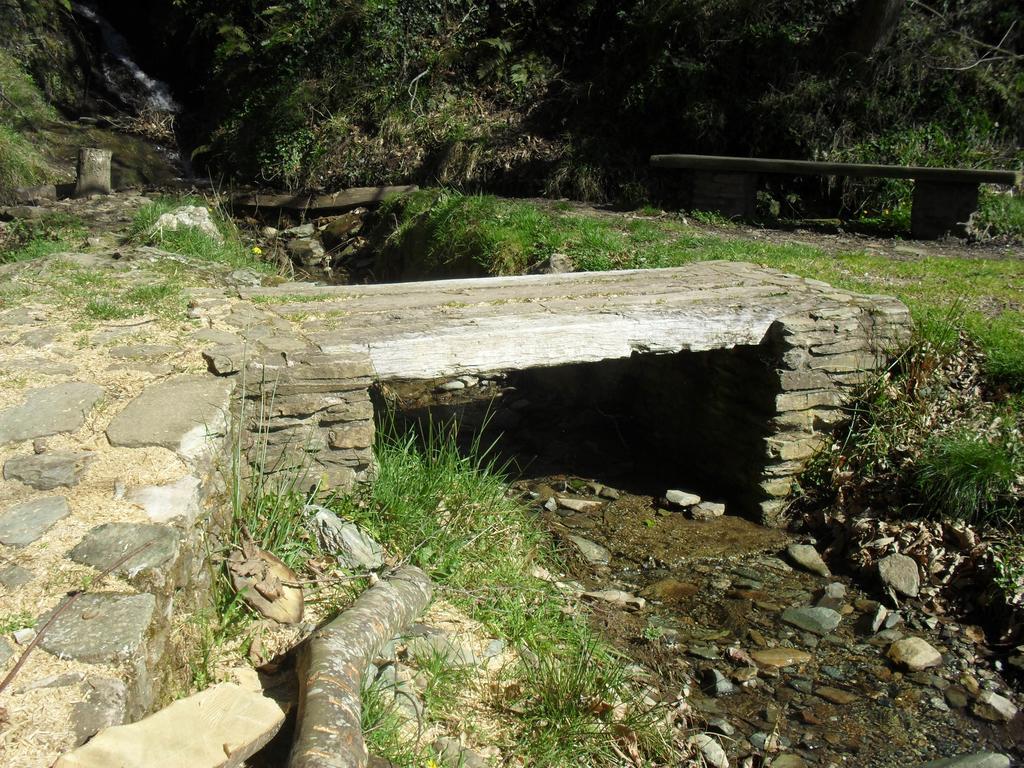 Pension La Posada Tineo Zewnętrze zdjęcie